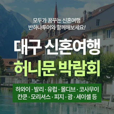 대구 반하나 허니문박람회